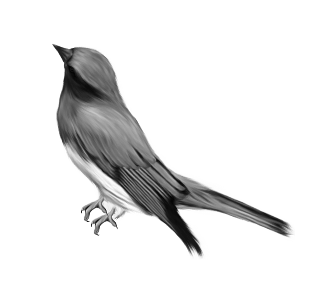 Синяя птица счастья