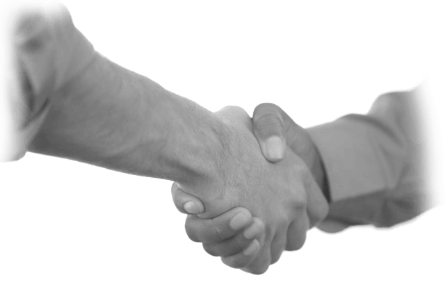 Дружба и счастье